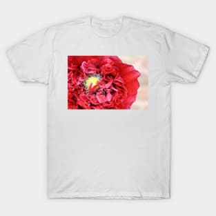 Red Poppy T-Shirt